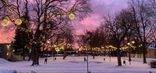 Kausivalot puistossa